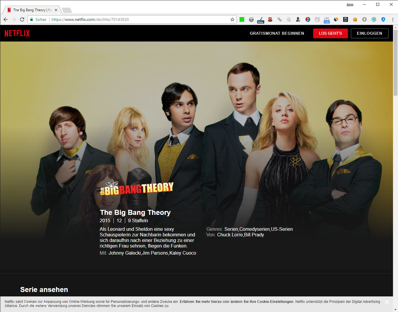 Big bang theory to netflix deals