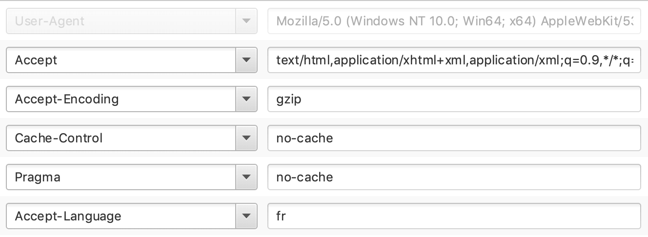 France user-agent configuration in Screaming Frog