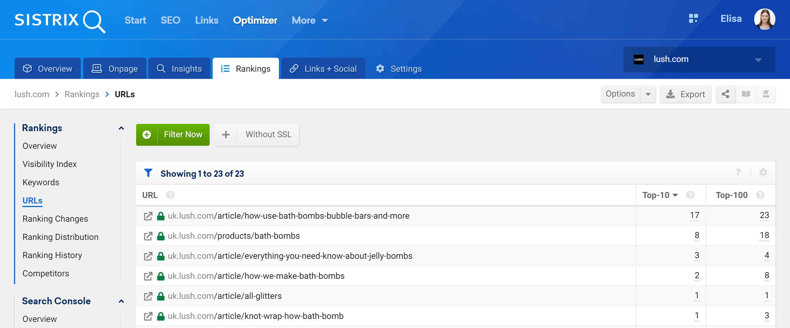 URL section in the SISTRIX Optimizer