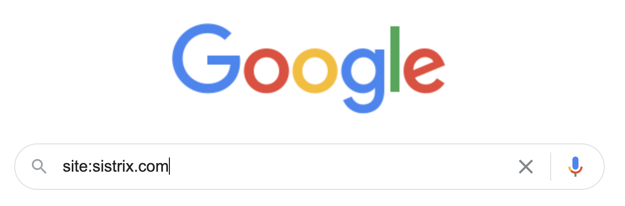 The Google search logo and search bar