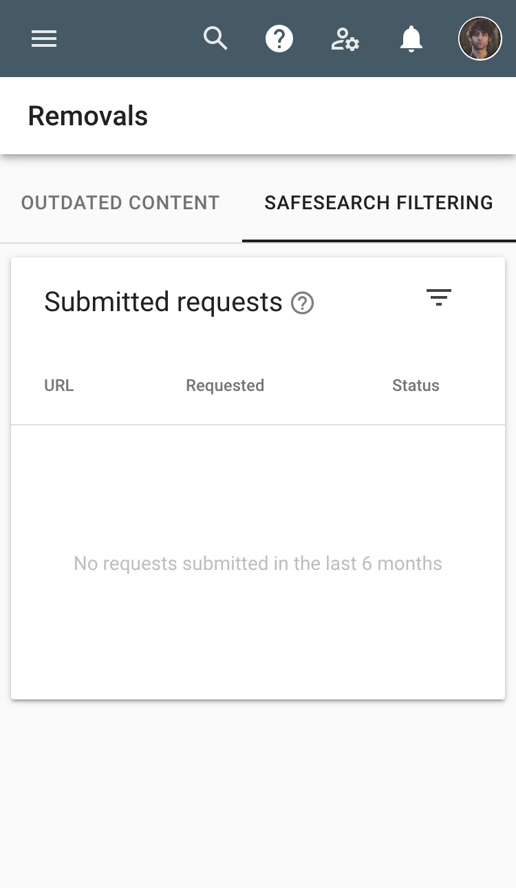 Safe search filtering on Google Search Console