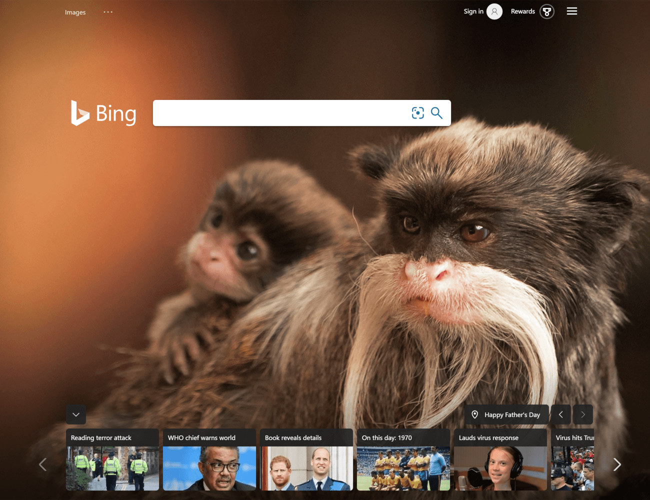 Bing browser