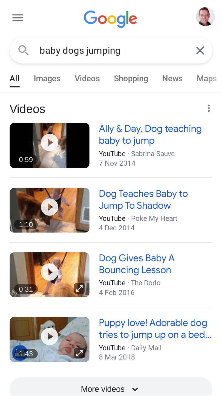 search result example showing video box