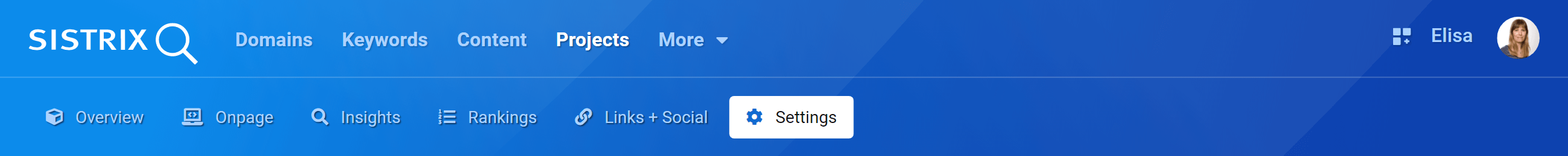 Settings section in the SISTRIX Optimizer