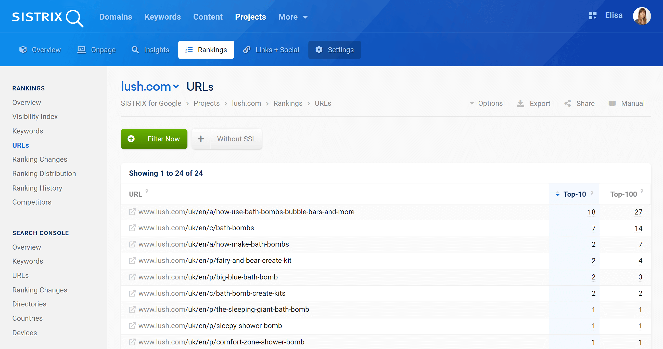 URL section in the SISTRIX Optimizer