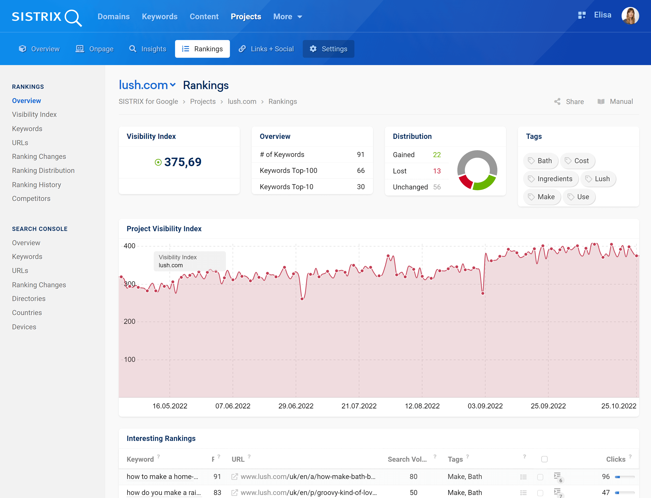 Rankings overview in the SISTRIX Optimizer