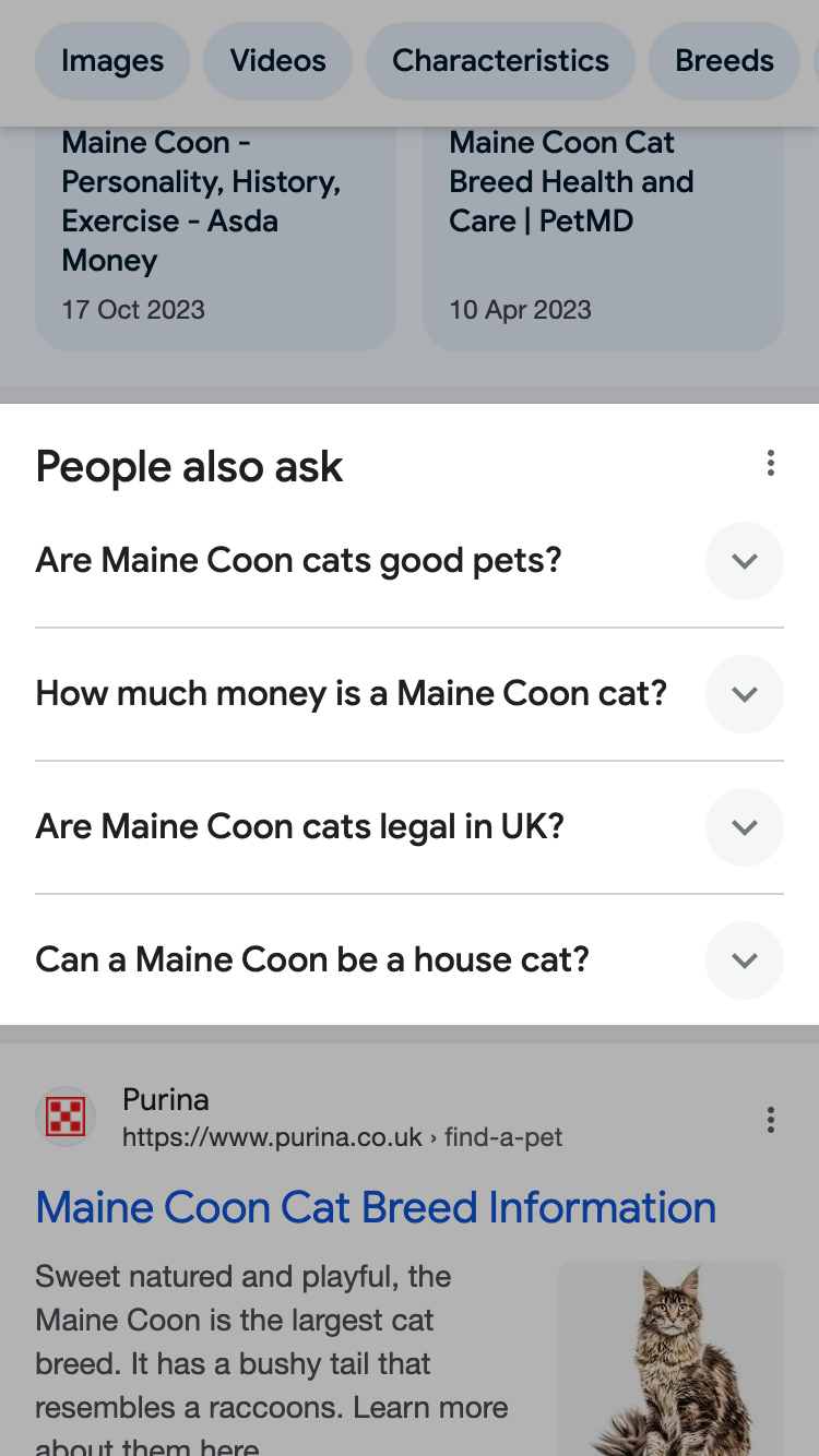 The "People also ask" box in the Google search results displaying frequently asked questions about Maine Coons.