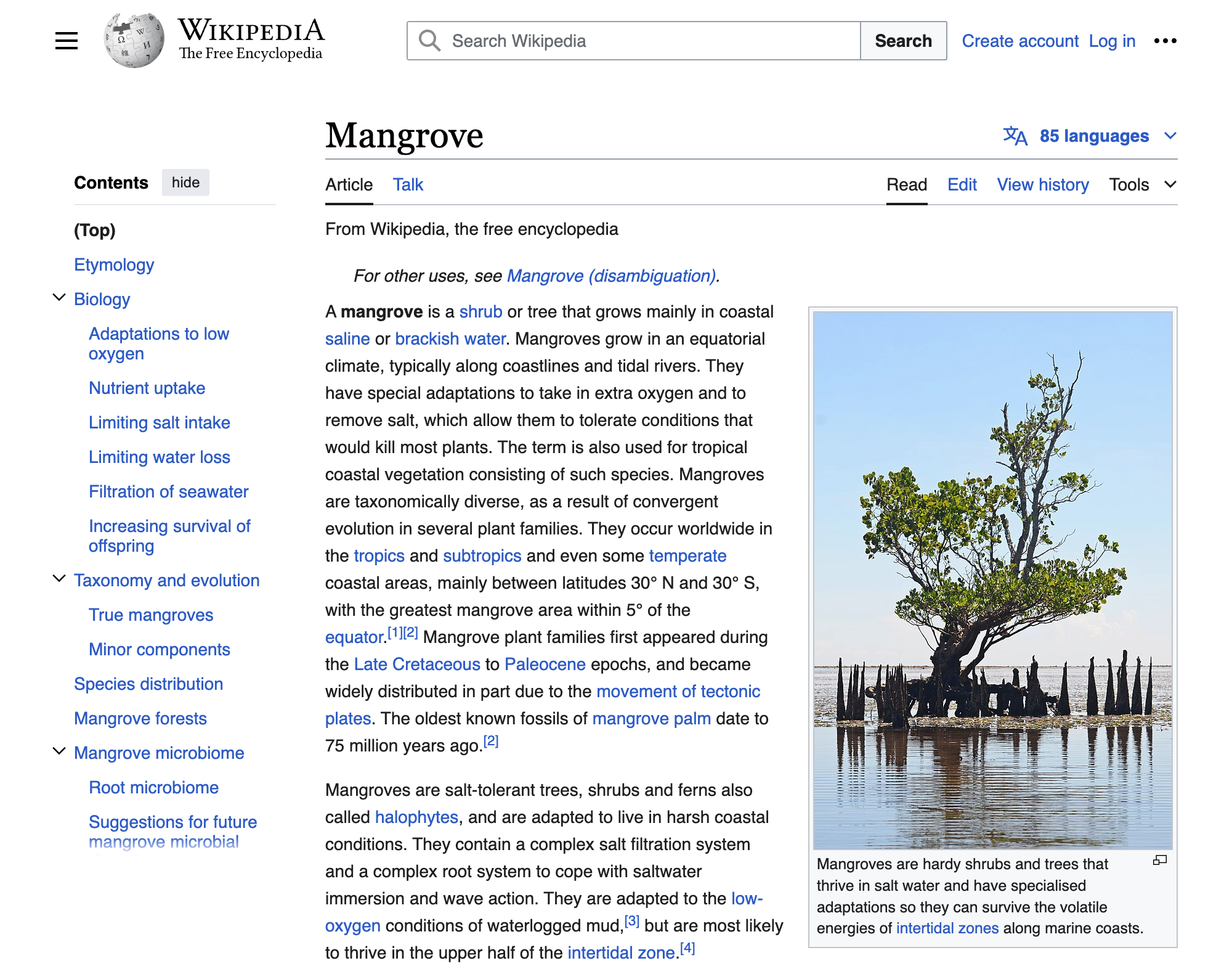 The Wikipedia article on mangroves.