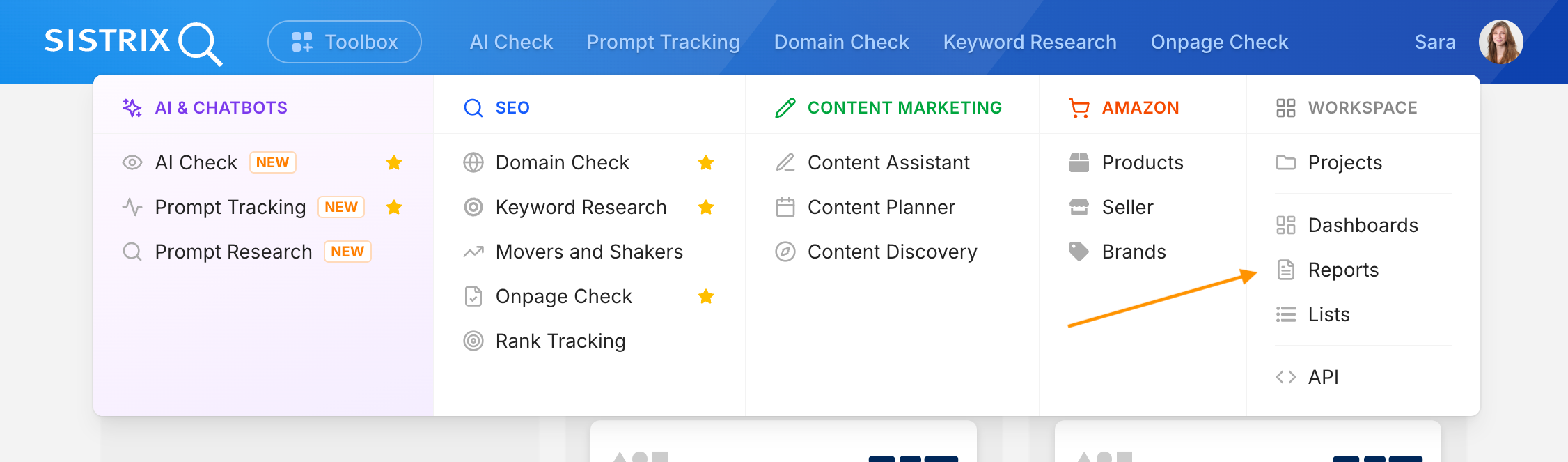 Screenshot of the SISTRIX Toolbox navigation dropdown, showing five categories: AI & Chatbots (AI Check, Prompt Tracking, Prompt Research – all marked "NEW"), SEO (Domain Check, Keyword Research, Movers and Shakers, Onpage Check, Rank Tracking), Content Marketing (Content Assistant, Content Planner, Content Discovery), Amazon (Products, Seller, Brands), and Workspace (Projects, Dashboards, Reports, Lists, API).